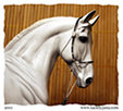 Arabian halter for model horses made by Jana Skybova